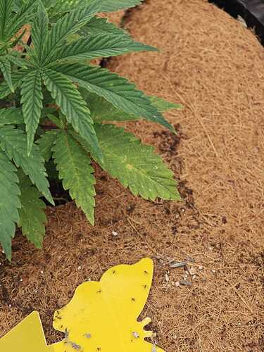 Growreport Bild 12