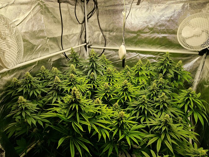 Growreport Bild 7