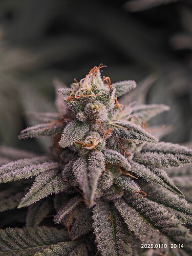 Growreport Bild 17