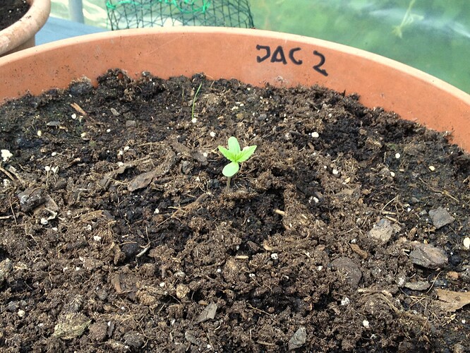Growreport Bild 47
