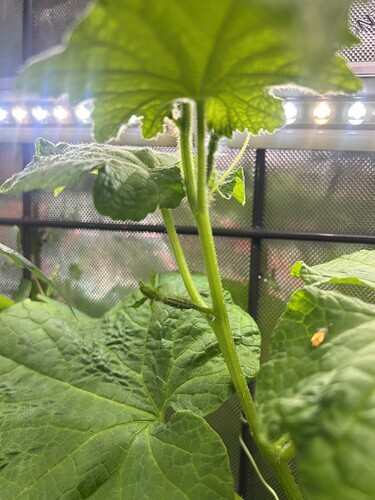 Growreport Bild 11