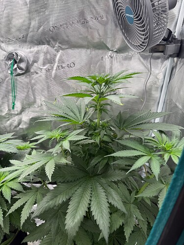 Growreport Bild 6