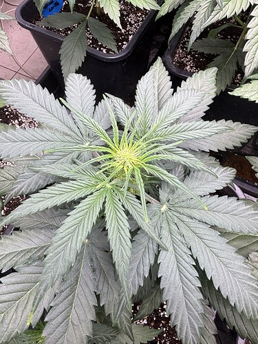 Growreport Bild 10