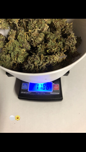 Growreport Bild 5