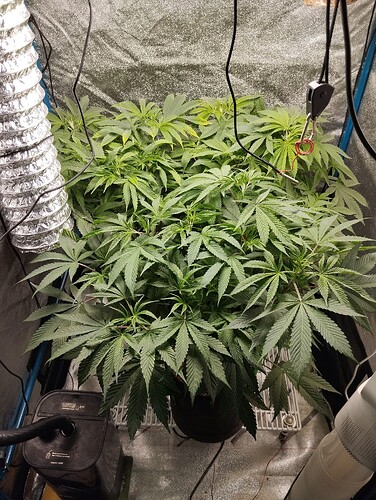 Growreport Bild 13