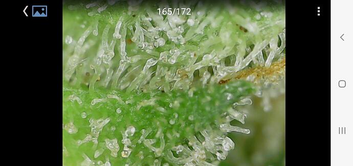 Growreport Bild 14
