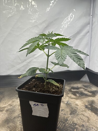 Growreport Bild 23