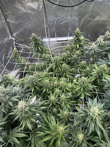 Growreport Bild 16