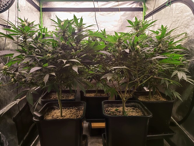 Growreport Bild 16