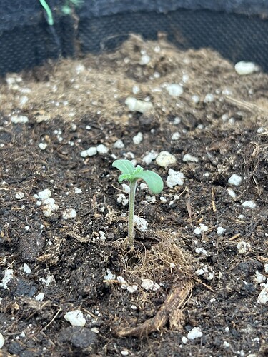 Growreport Bild 7