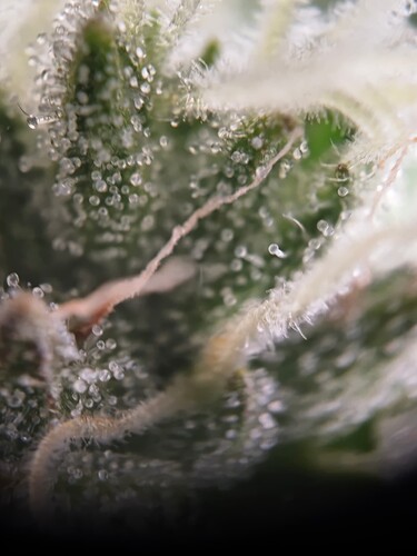 MVIMG_20251112_213309