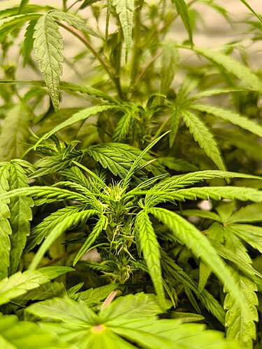 Growreport Bild 12