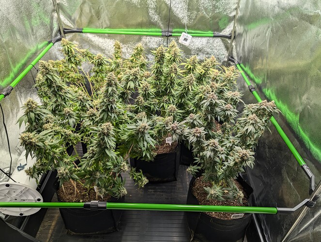 Growreport Bild 28