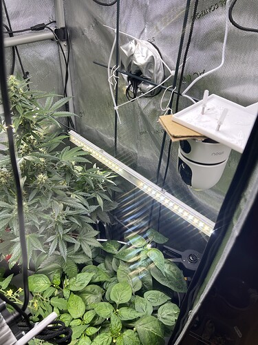 Growreport Bild 3