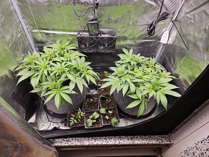 Growreport Bild 4