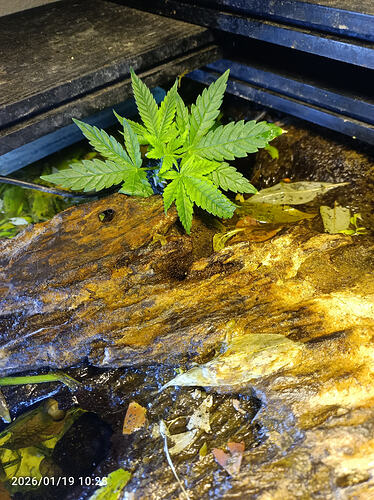 Growreport Bild 2