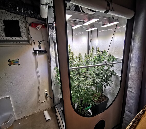 Growreport Bild 14