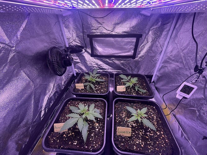 Growreport Bild 11