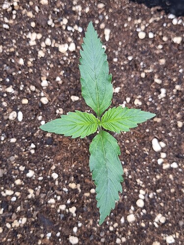 Growreport Bild 10