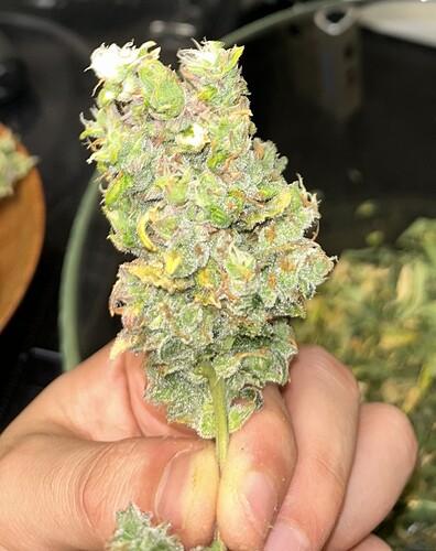 Growreport Bild 14
