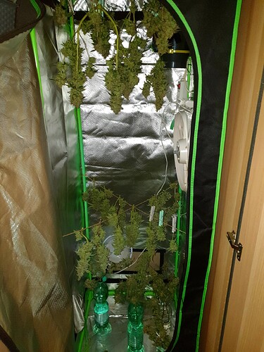 Growreport Bild 7