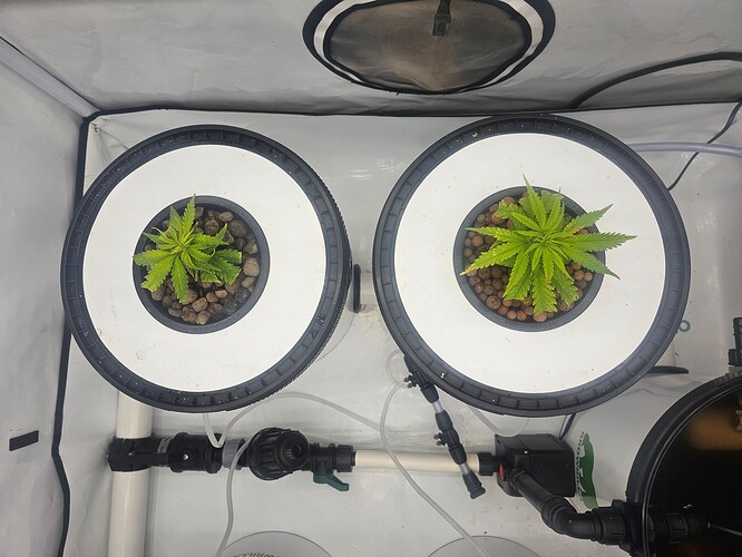 Growreport Bild 53