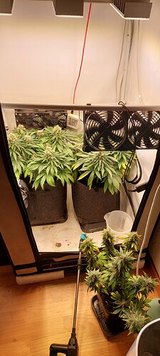 Growreport Bild 7