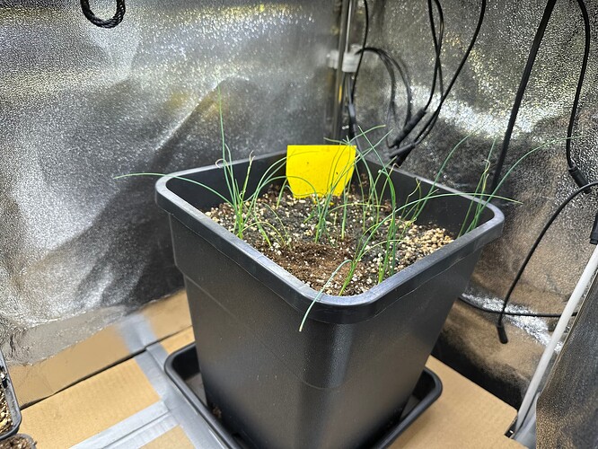 Growreport Bild 53