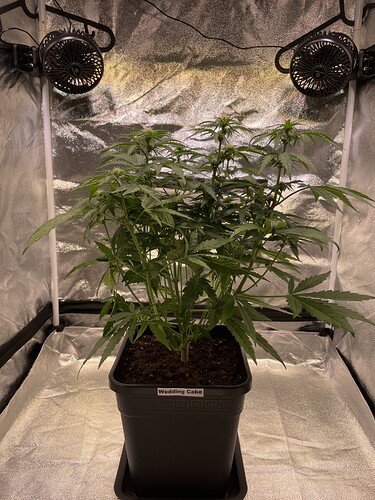 Growreport Bild 10