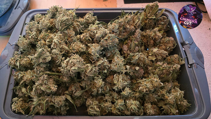 Growreport Bild 83