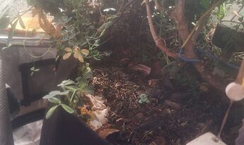 IMG_20250620_190121