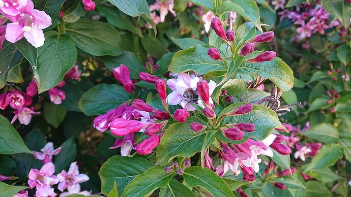 Growreport Bild 8