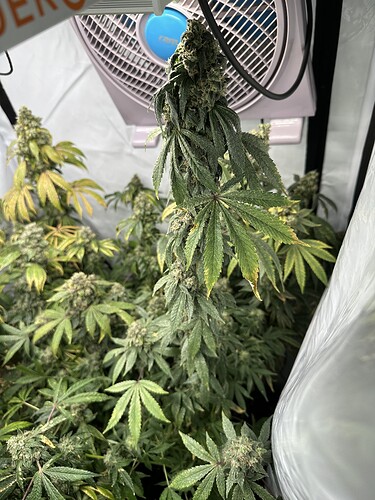 Growreport Bild 10