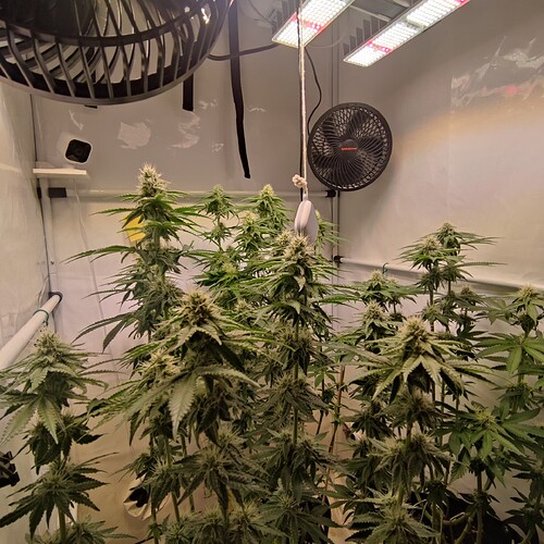 Growreport Bild 11