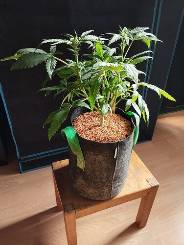 Growreport Bild 17