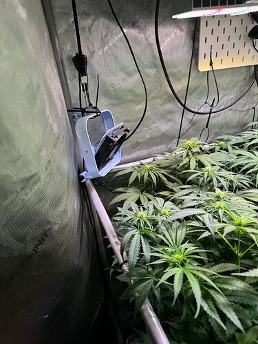 Growreport Bild 9