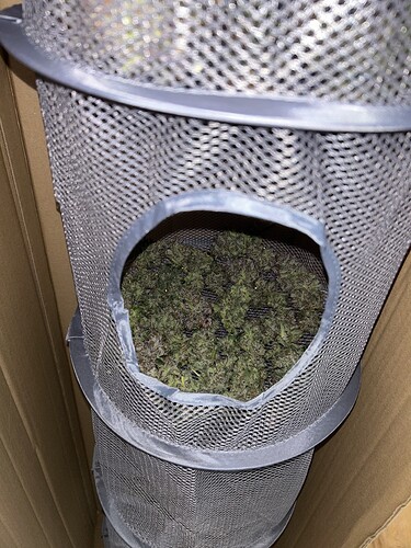 Growreport Bild 2
