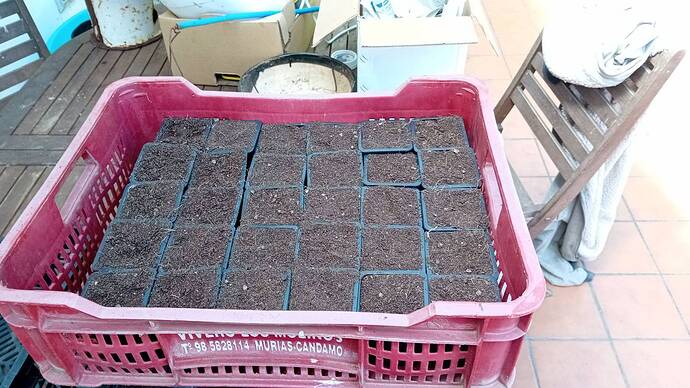 signal-2024-08-16-125211