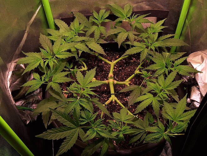 Growreport Bild 11