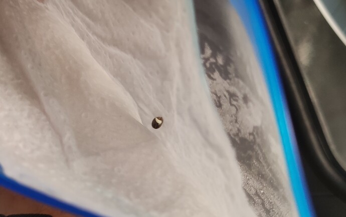 IMG_20240523_162254_kopie