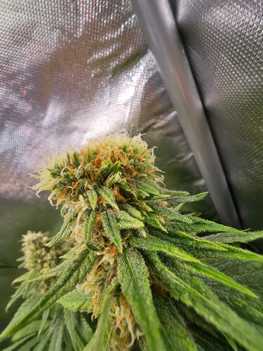 Growreport Bild 9
