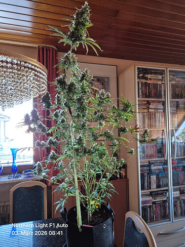 Growreport-Bild