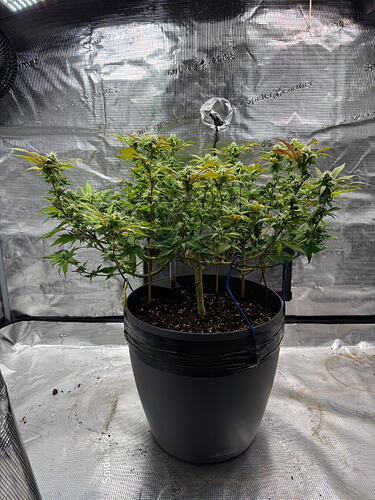 Growreport Bild 18