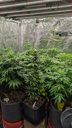 Growreport Bild 13