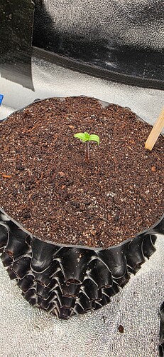 Growreport Bild 30