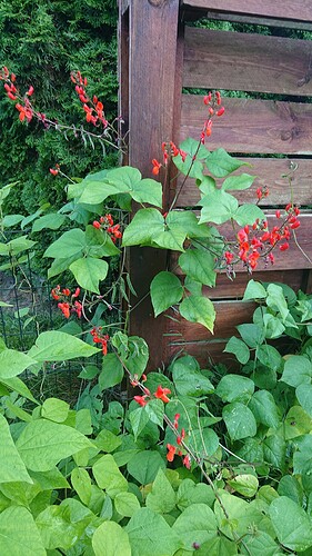 Growreport Bild 4