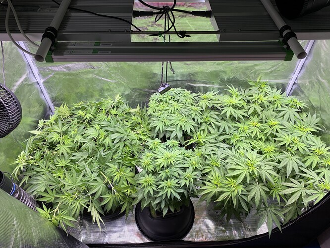 Growreport Bild 15