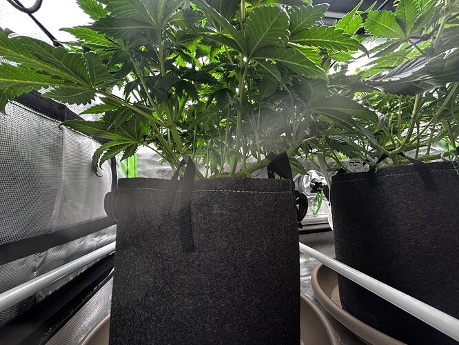 Growreport Bild 10
