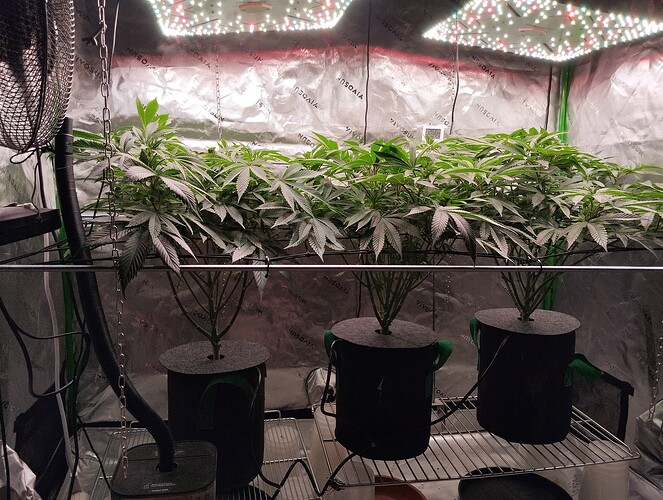 Growreport Bild 9