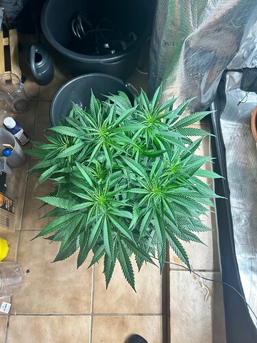 Growreport Bild 8
